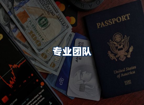 专业团队
